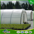 Anti-uv 200 micron greenhouse film for planting fruits and vegetables